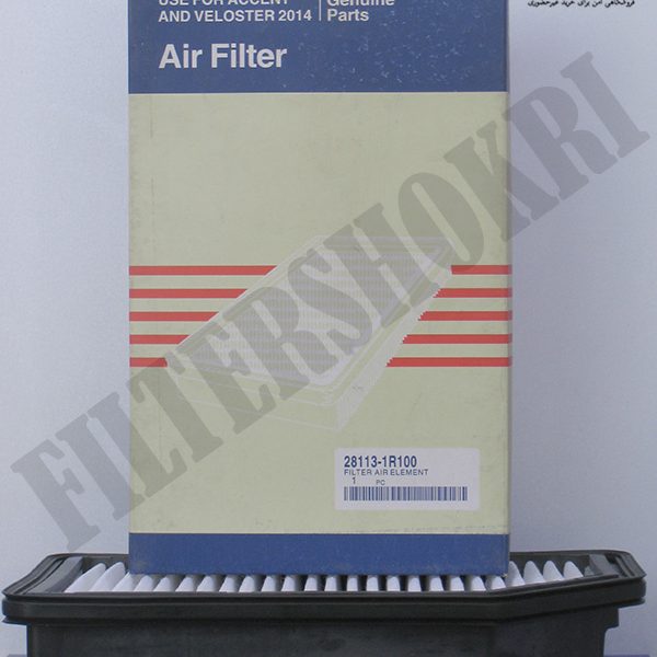 فیلتر هوا ولستر - اکسنت - 281131R100